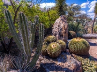 San Miguel de Allende, El Charco del Ingenio Jardín Botánico